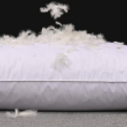 Shalala New York Fresh Fluffy Microfiber Pillow