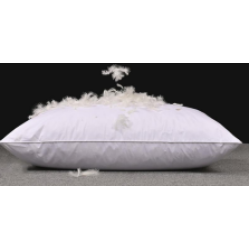 Shalala New York Fresh Fluffy Microfiber Pillow